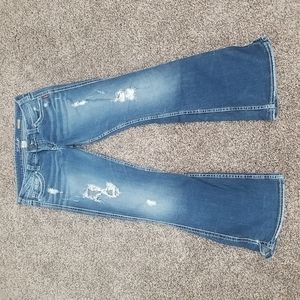 EUC Silver Frances Flare Jeans 29/31